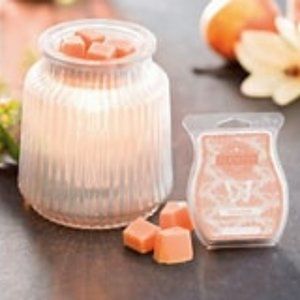 Scentsy Warmer